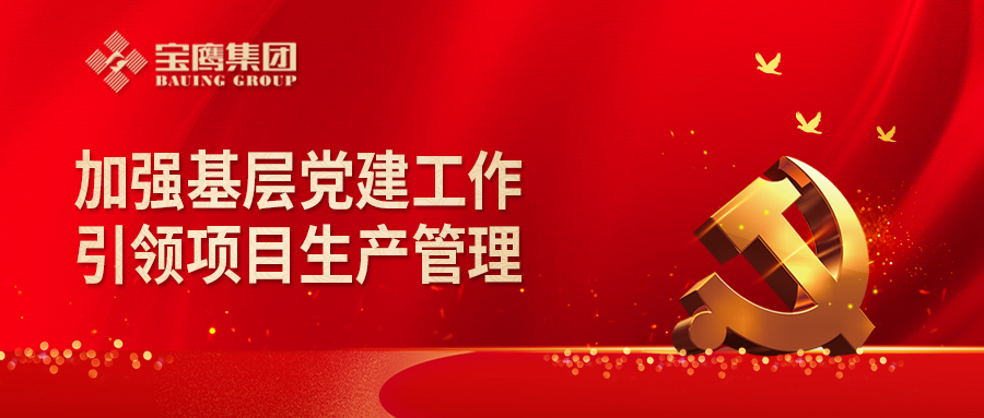 黨建引領(lǐng)項目生產(chǎn)管理 | 寶鷹建設(shè)集團黨委成立項目臨時黨支部