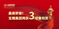 最高榮譽(yù)！寶鷹集團(tuán)再獲三項(xiàng)魯班獎(jiǎng)