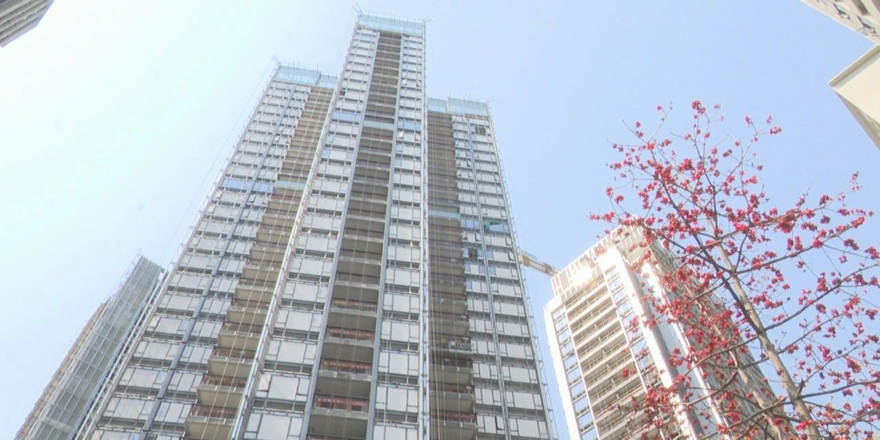 財(cái)政部等三部門：進(jìn)一步擴(kuò)大政府采購(gòu)支持綠色建材，促進(jìn)建筑品質(zhì)提升政策實(shí)施范圍